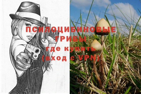 хмурый Арсеньев