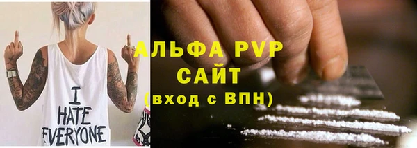хмурый Арсеньев