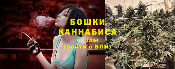 хмурый Арсеньев