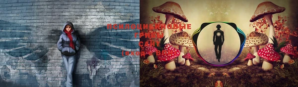 хмурый Арсеньев