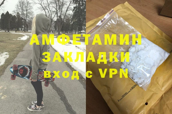 хмурый Арсеньев