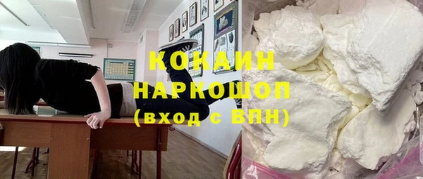 хмурый Арсеньев